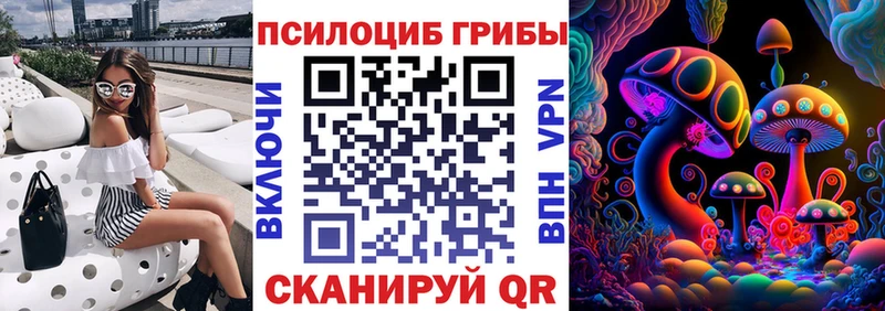 Галлюциногенные грибы Psilocybine cubensis  Братск 